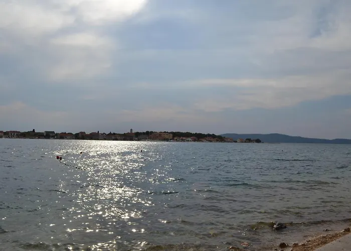 Jasmine * ברודאריצה